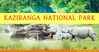 kaziranga-national-park-assam